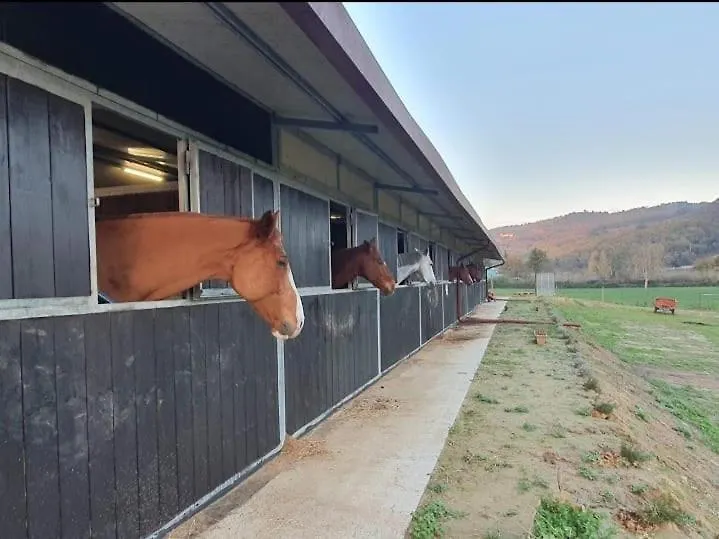 Agriturismo Tenuta Cantagallo Montelupo Fiorentino Alloggio per agriturismo